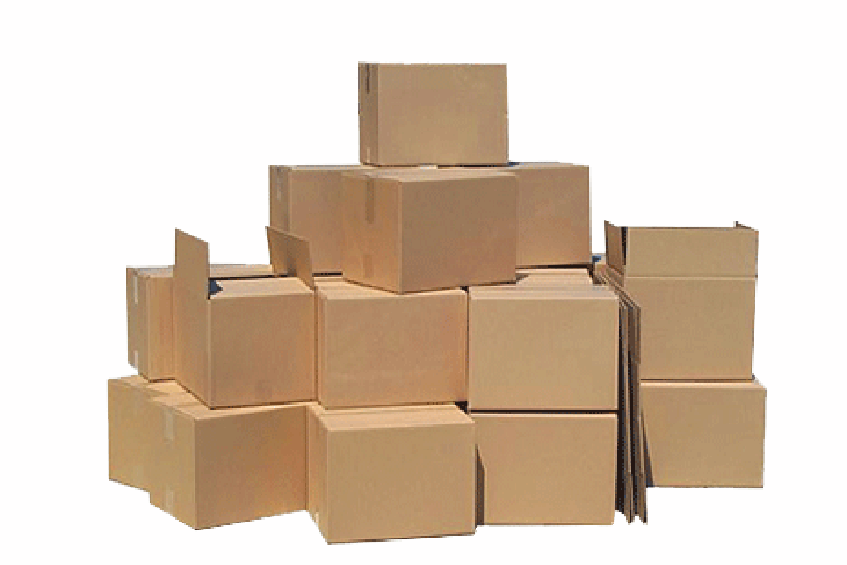 Shipping Cartons